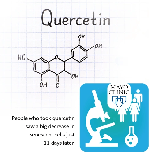 quercetin mayo clinic