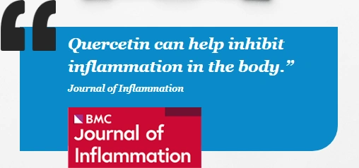 quercetin supplement studies